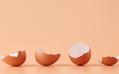 El uso de la cáscara de huevo para suculentas