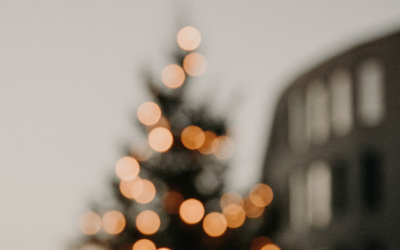 ¿Cómo hacer un árbol navideño con suculentas?