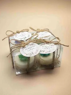 Vela_suculenta_variada