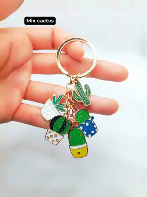 llavero-suculentas-mix cactus