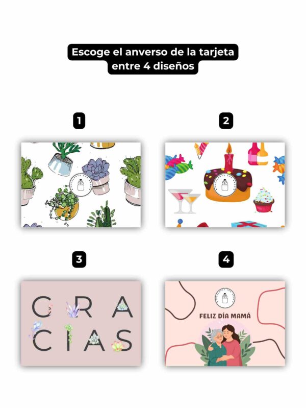 Kit Regalo Suculenta - Imagen 5