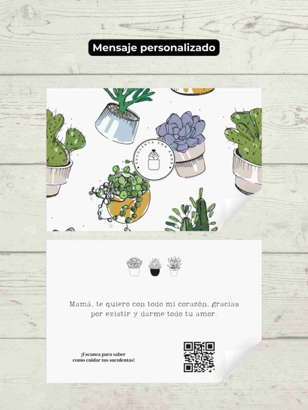 Cofre de Suculentas - Imagen 3