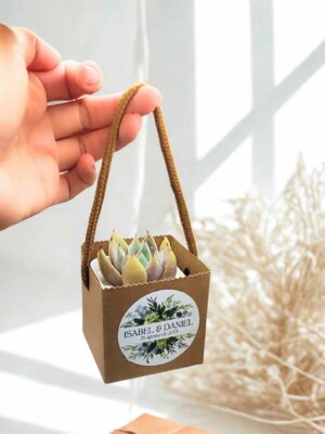 Detalle Suculenta Kraft canasta