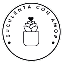 Suculenta con amor