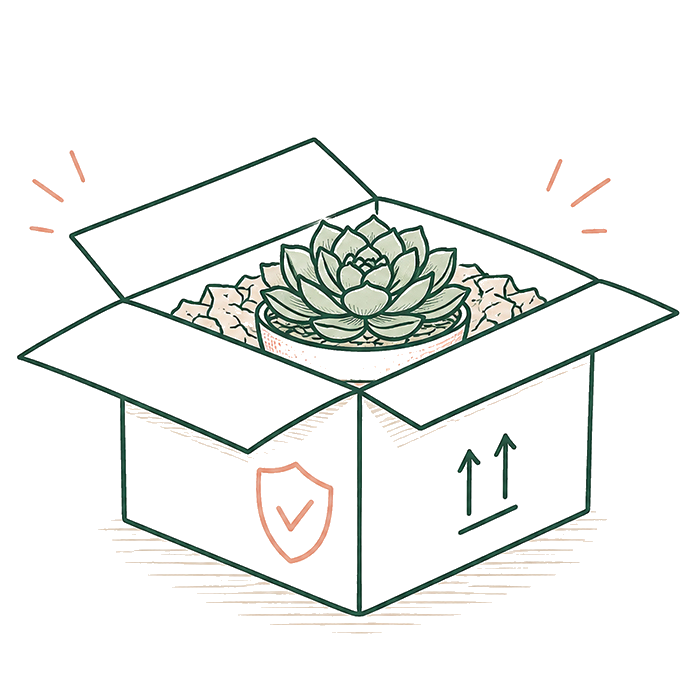 Packaging seguro